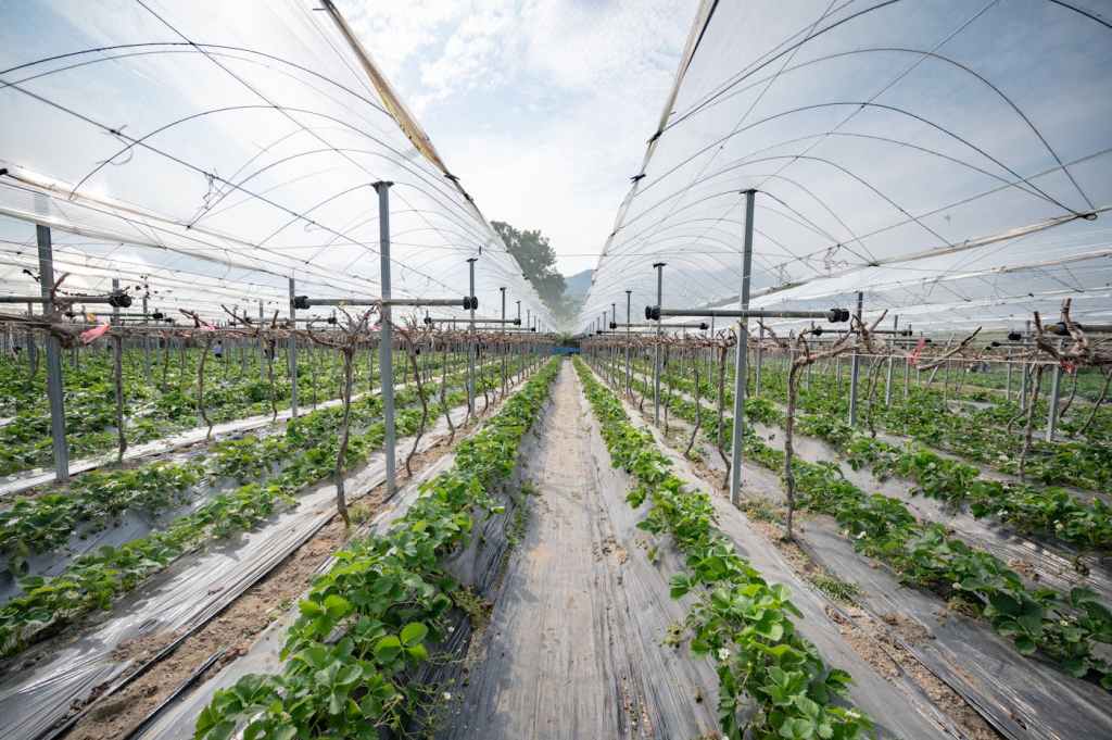 Precision Agriculture Business-as-ONE Project - 100 Farm Hubs
