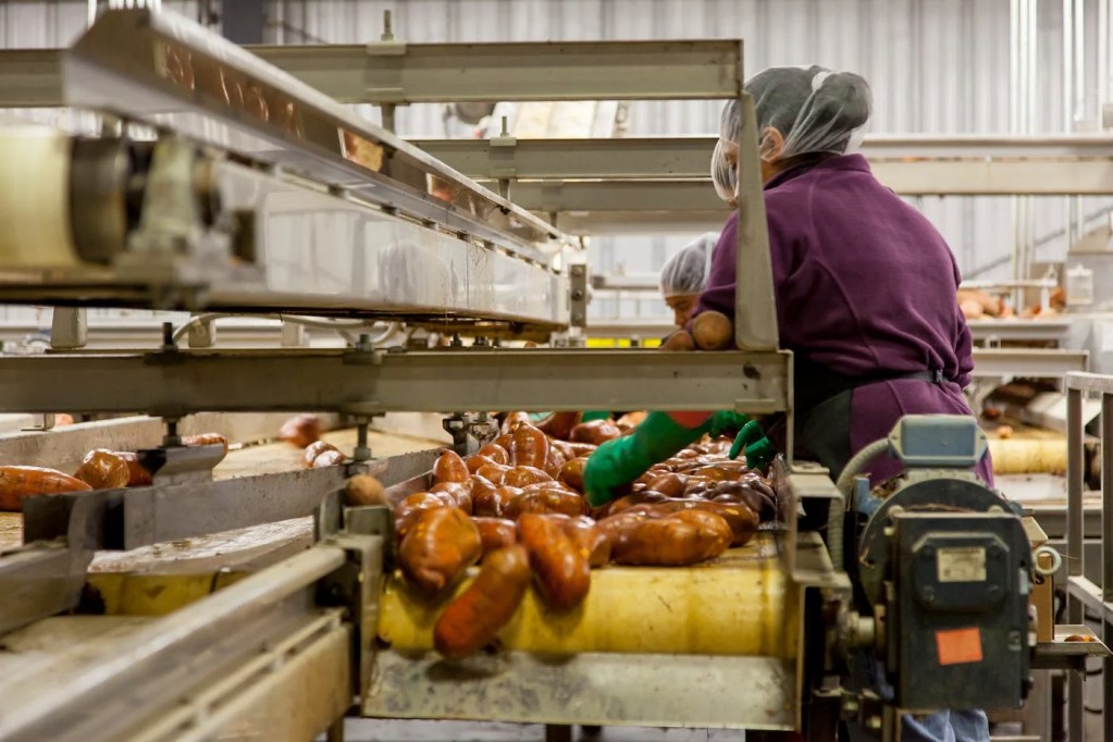 Food Processing Business-as-ONE Project - 100 Major Hubs