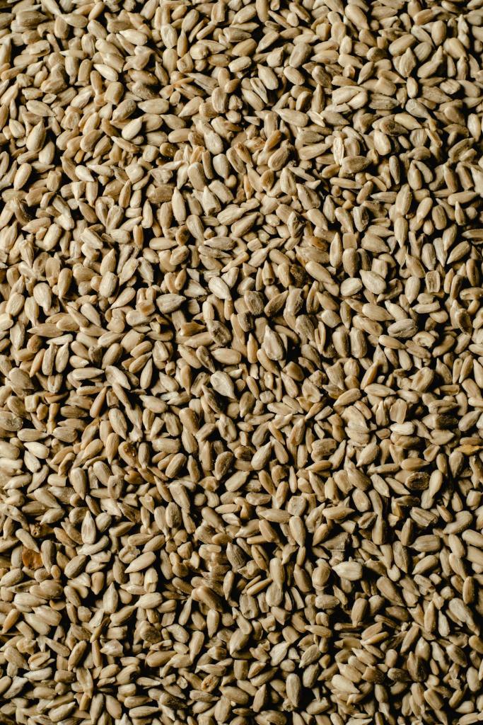 Oilseeds & Vegetable Oils Business-as-ONE Project - 100 Affiliates
