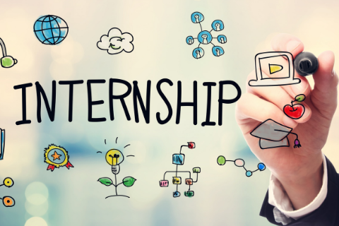 Remote Student Internship Placement