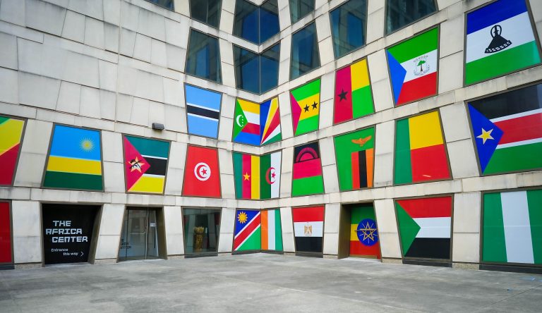 Diaspora Investment Programme Membership