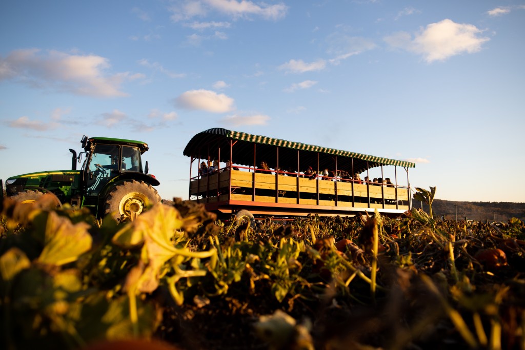 Farm Visit & Agri-Leisure Tour